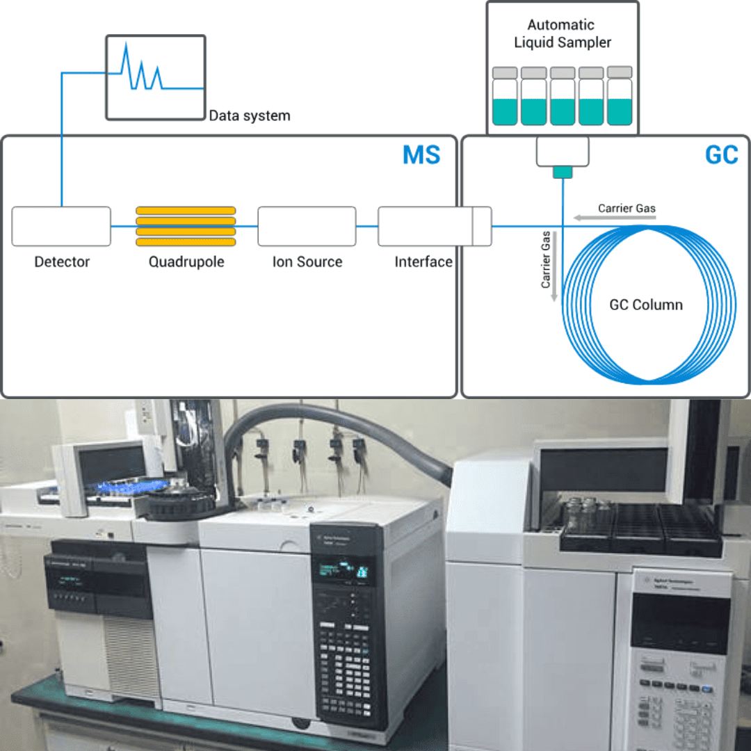 GC, GC-MS, HPLC & TOC: Essential Tools for Organic Compound Analysis