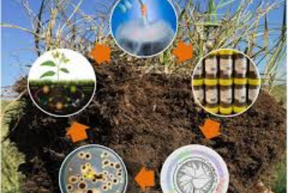 Environmental & Soil Analysis 