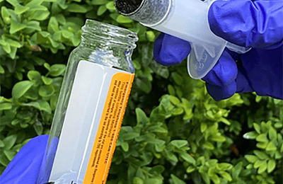 Pharmaceutical Stability