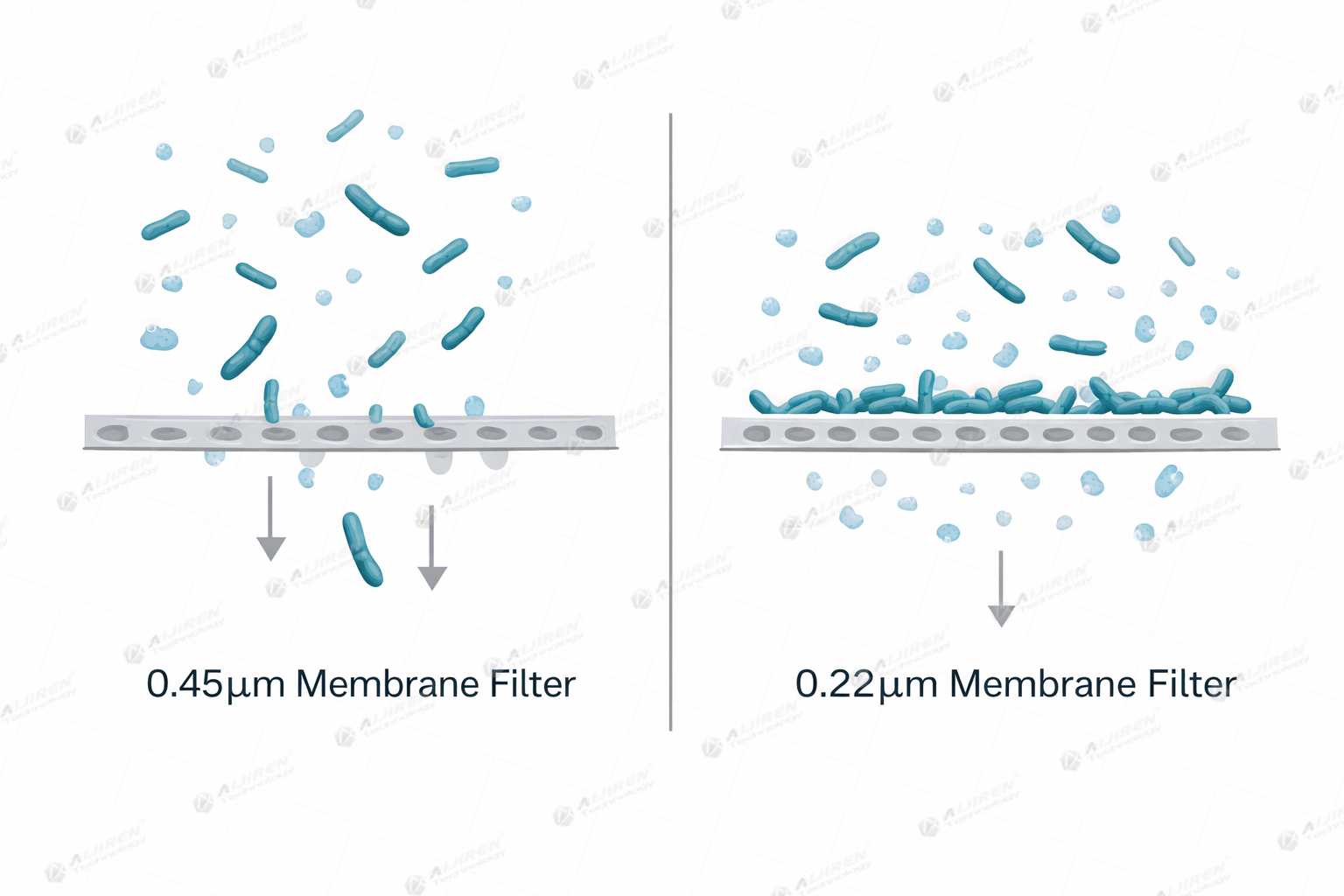 0.22 vs 0.45 micron filter bacteria size comparison