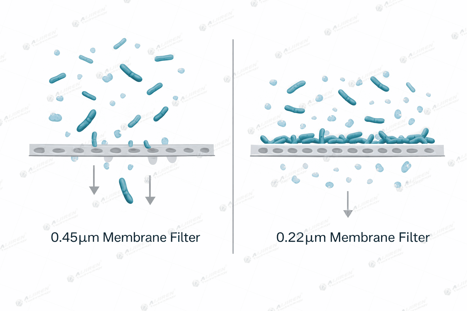 0.22 vs 0.45 micron filter bacteria size comparison