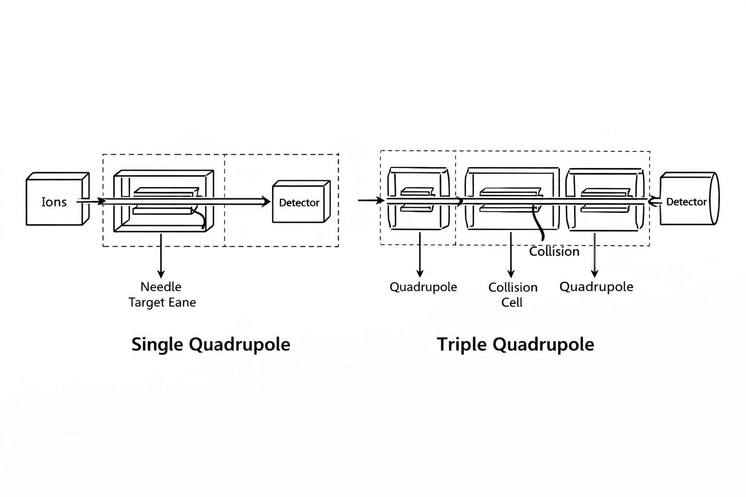 Graphic comparison of GC-MS and GC-MS/MS instrumentation and workflow