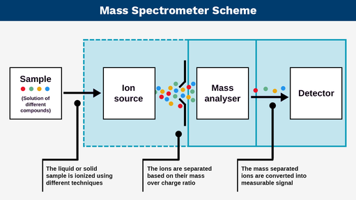 Internal diagram of a mass spectrometer showing ionization source, mass analyzer, and ion detector