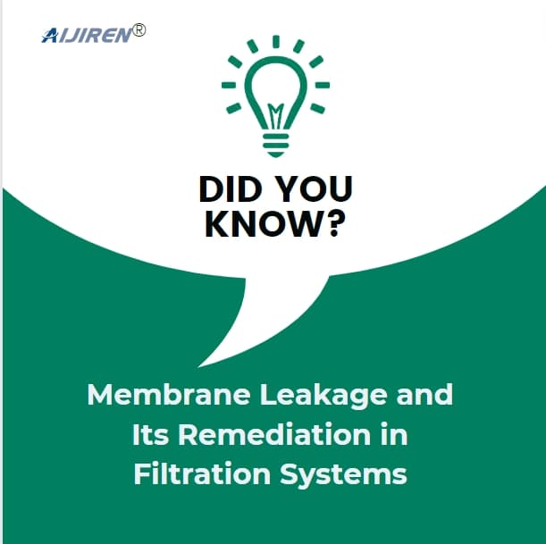 Membrane Leakage and Its Remediation in Filtration Systems