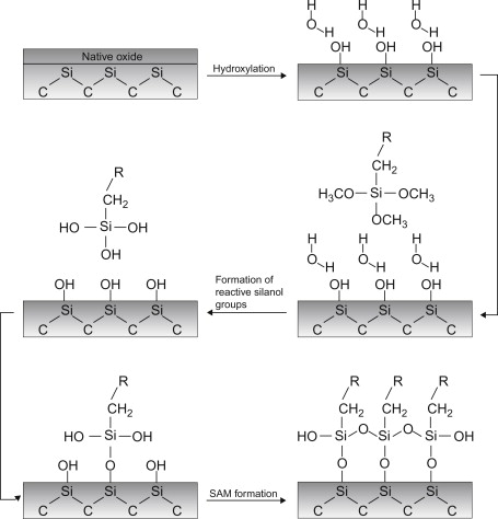 The Vapor-Phase Silanization process. It replaces reactive hydroxyls with stable, hydrophobic dimethylsilyl groups.